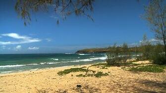 Hawaii Photos Background Screensaver Beach Beaches Media