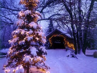 Animated Snow Christmas Card Photoshop Pc Help Magazine