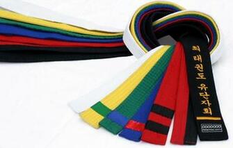 Martial Art Belt Given Steps Levels Karate White Color