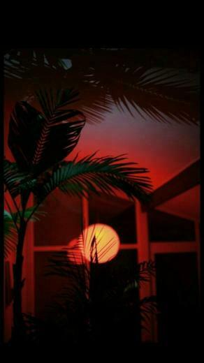 Aesthetic Photography Android iPhone Desktop HD Background