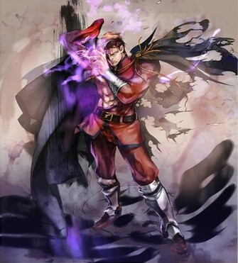 Bison Street Fighter Photo