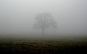 Horror Scary Creepy Dark Evil HD Art Wallpaper Fog
