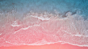 Pink Sand Beach Wallpaper