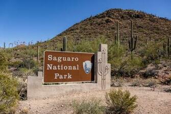 Saguaro National Park The Greatest American Road Trip