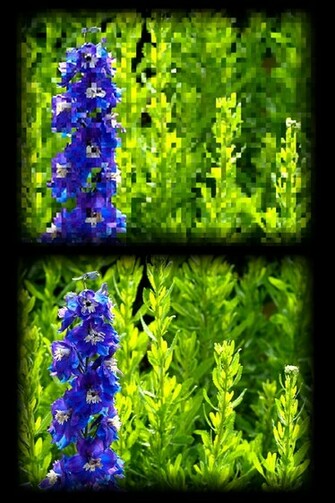 Summer Time Screensaver Animated