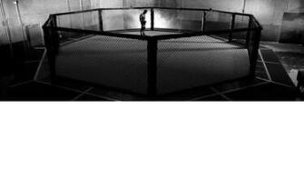 Ufc Octagon Wallpaper Book