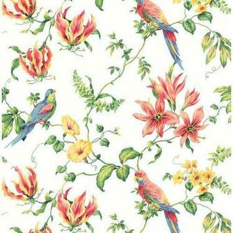 York Wallcoverings Cj2801 Wallpaper Green Series Home Decor White