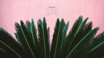 February Wallpaper Calendars For Your Desktop Phone