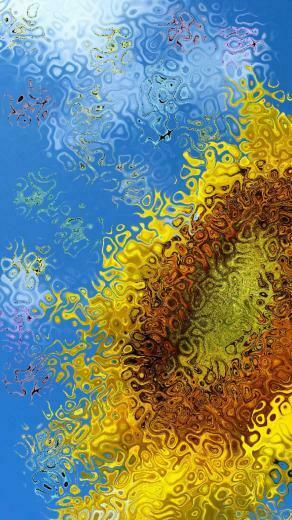 Sunflower Glass Wallpaper Sc iPhone7plus