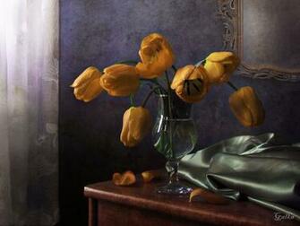 Still Life Beautiful Bouquet Cool Decor Elegantly Flower