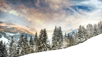 Winter Aesthetic Wallpaper