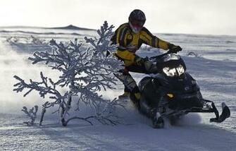 Ski Doo Wallpaper
