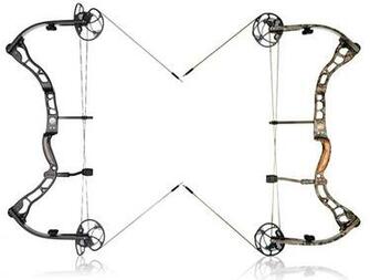 Go Back Gallery For Elite Archery Wallpaper