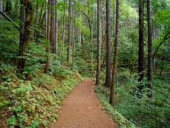 Columbia River Gorge Oregon Nature Wallpaper Urban Art