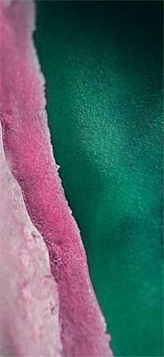 Samsung Galaxy M30 Stock Wallpaper