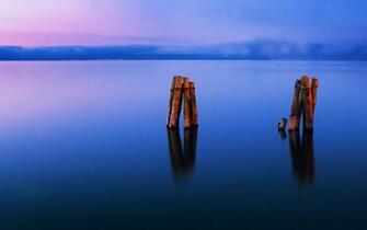 Seals Relaxing Widescreen HD Wallpaper Image Femalecelebrity