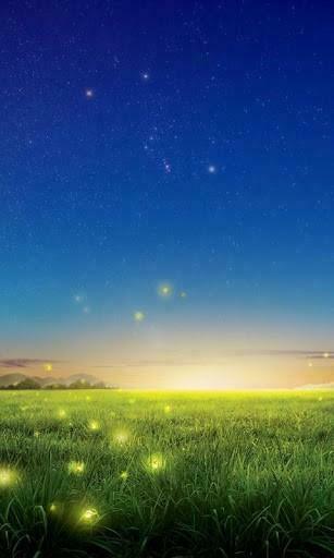 Bigger Fireflies Live Wallpaper For Android Screenshot
