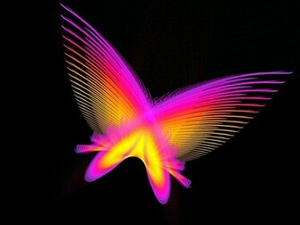 Colorful Butterfly Wallpaper For Walls