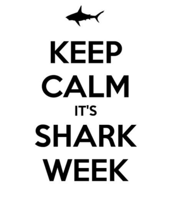 High Definition Wallpaper Photo Shark Html