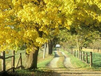 HD New Wallpaper Autumn Desktop