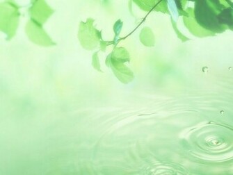 Light Green Wallpaper