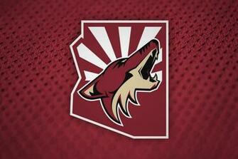 Coyotes Confirm Arizona Name Change For Icethetics