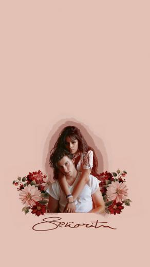 Ig Shawnwallpaper Shawnmendes Camilacabello Se Orita