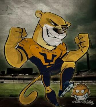 Pumas Jpeg