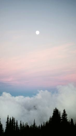 iPhone5 Background