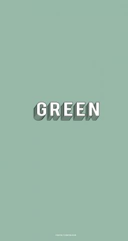 Sage Green Minimalist Wallpaper For Phone Layers I