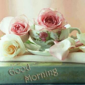 Lovely And Beautiful Good Morning Wallpaper Allfreshwallpaper