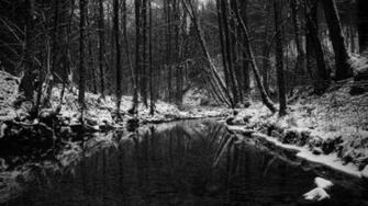 Black And White Desktop Wallpaper Picture