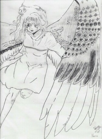 Maximum Ride Wallpaper Background