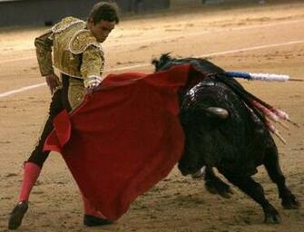 Wallpaper Unlimited Bull Fighting