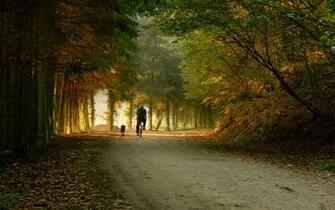 Park Road Bike Skate Fall Wallpaper Background Ultra HD 4k