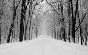 Nice Winter Forest Path Wallpaper Stock