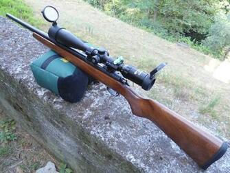 Crosman 1377c American Classic
