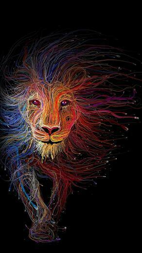 Power Cord Lion Wallpaper Abstract And Geometric