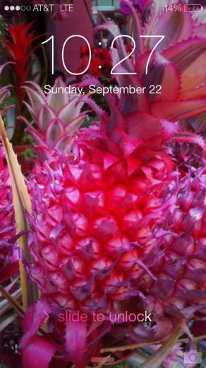 Pink Pineapple Lock Screen Moods