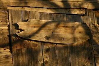 Exciting Wood Background Collection Slodive