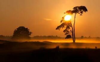Evening Foggy Sunset Wallpaper