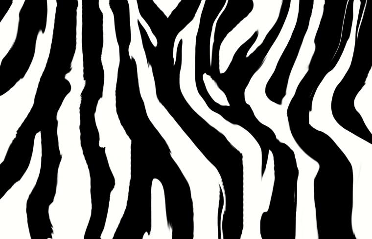 Will I Get My Zebra Stripe Working Tech Mom