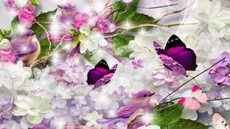Lilacs Lilac Bird Jpg