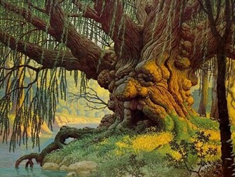 Weeping Willow Wallpaper