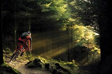 Pics For Gt Specialized Mountain Biking Wallpaper Mtb