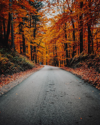 Autumn Wallpaper HD Hq