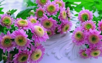 Pretty Flower Wallpaper Background