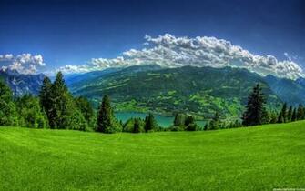 Spring Background Wallpaper High Definition