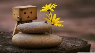 The Gallery For Gt Danbo Wallpaper