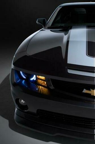 Related Wallpaper Size Type Jpg S